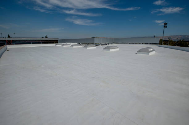 Best Roof Insulation Installation  in Coleytown, CT